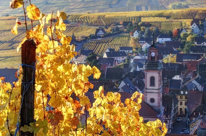 Gold autumn vine leaves above a village and its church tower in the valley