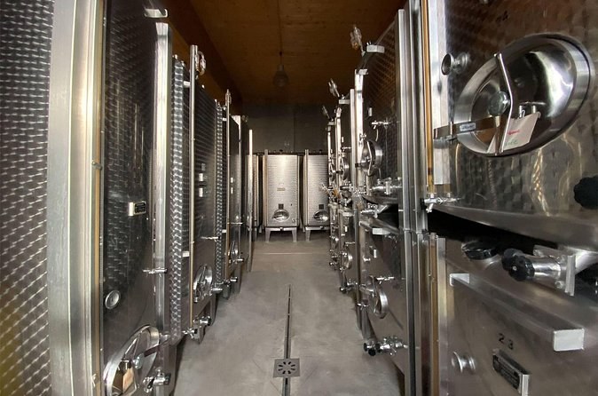 A row of stainless-steel tanks in a winery cellar