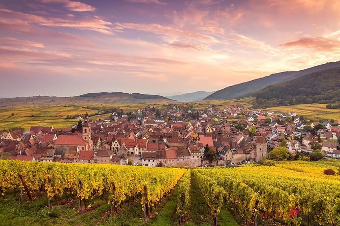 A wine village of red roofs in the middle of its vineyard at sunset